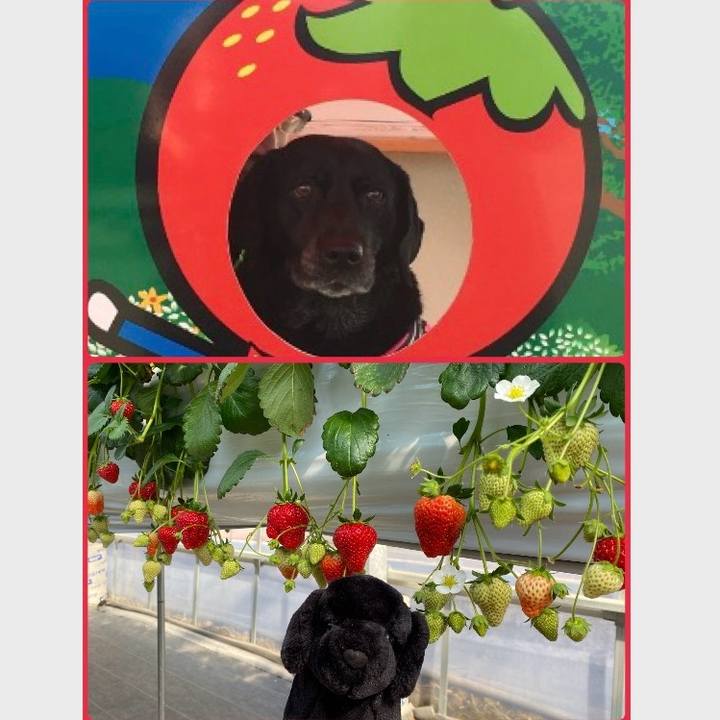 05232b84 4fab 4f94 9b87 ab958f8a0a08 1770873341956