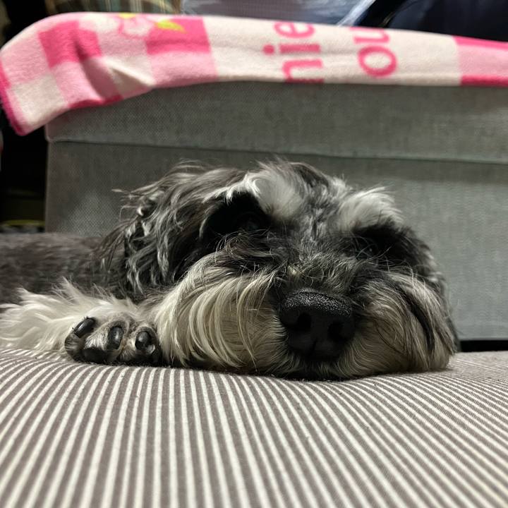 0523442c 1db3 430c 85ef 94d2e5da1d8c 1715918076951