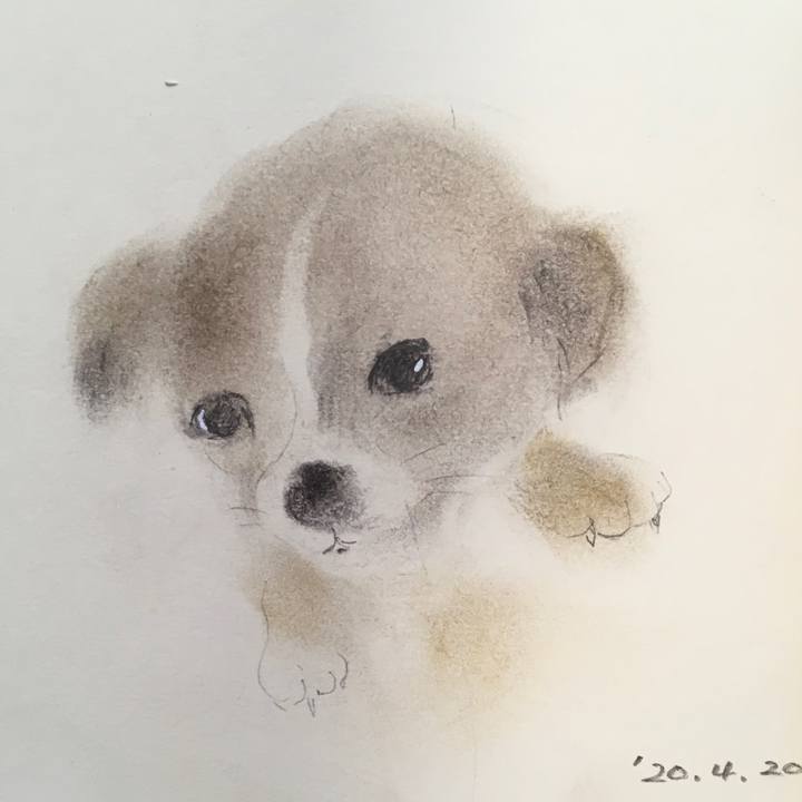 05236864 fa75 431d 8bf0 2bbbc1f6e60e 1587361532864