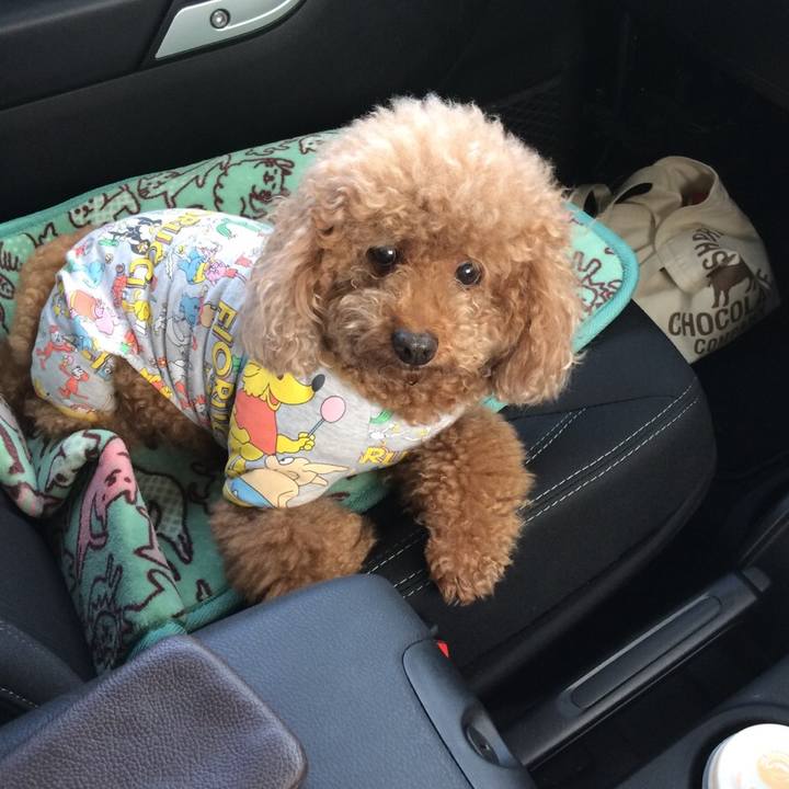 052372b4 211e 4c7f b2bd 6e25e84a83cf 1536856273359