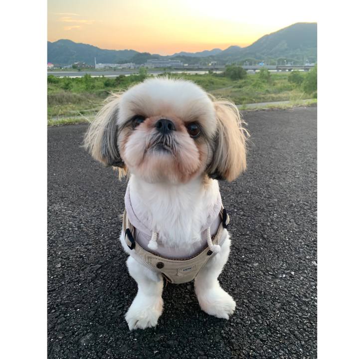 05239451 a64b 4fee b34b 5d7b5be01670 1651538794756