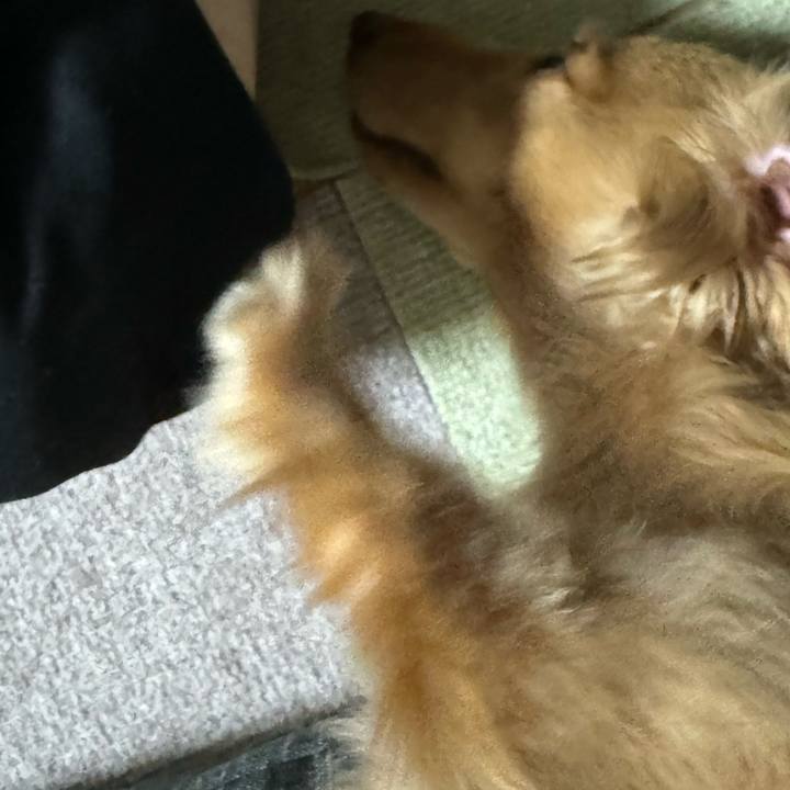 0523b64a a28f 47b0 a49c 45d8167df753 1697720405351