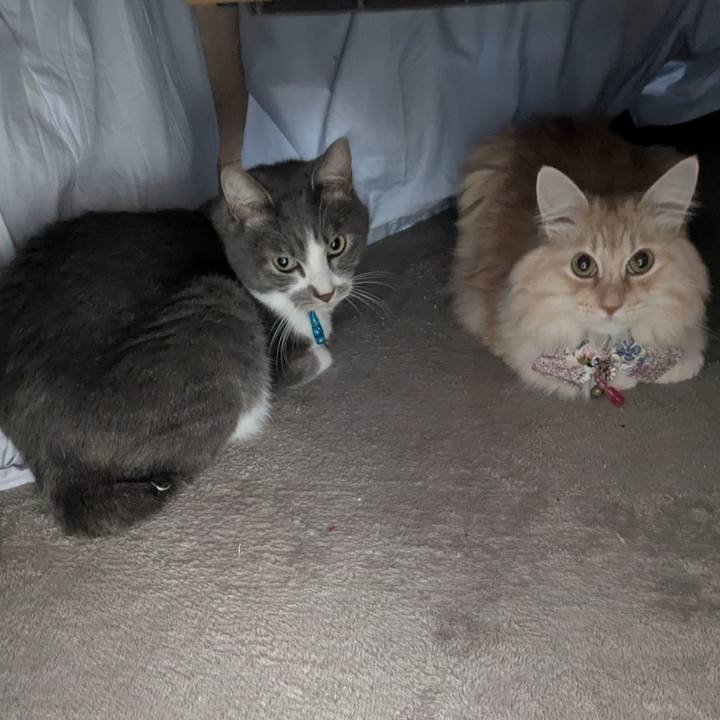 0523b967 8a58 4c66 bb66 07678311ed7c 1765326778239