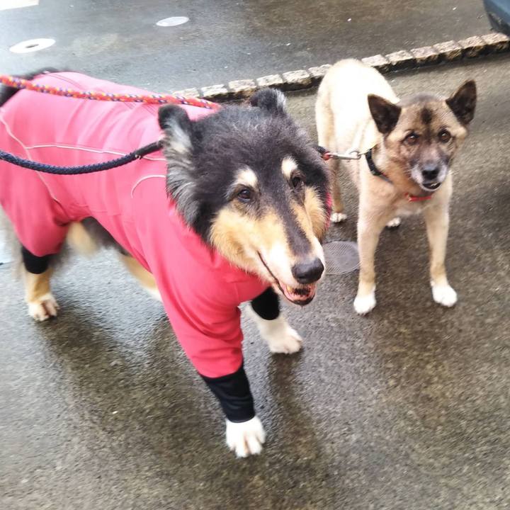 0523e05e 6e84 4051 9fb4 427c544c2c78 1654698094008