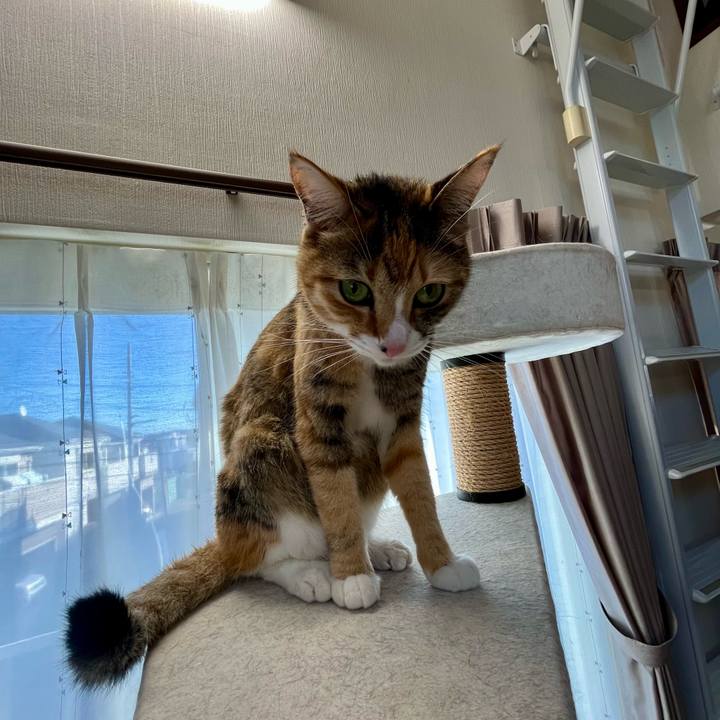 0523e305 87c9 42f0 b8f1 ab4986056f51 1735442356025