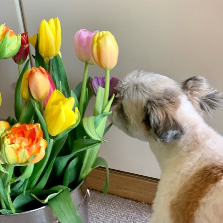 0523e7b2 0d50 408b a03a 650570d437c7 1615006388490