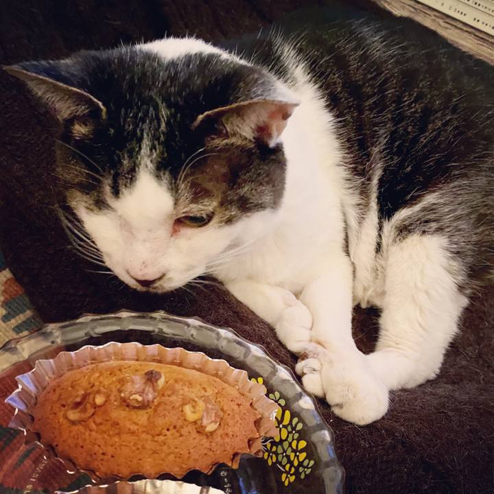 05240a54 cada 4461 afe9 fae38184cdd4 1587128288940