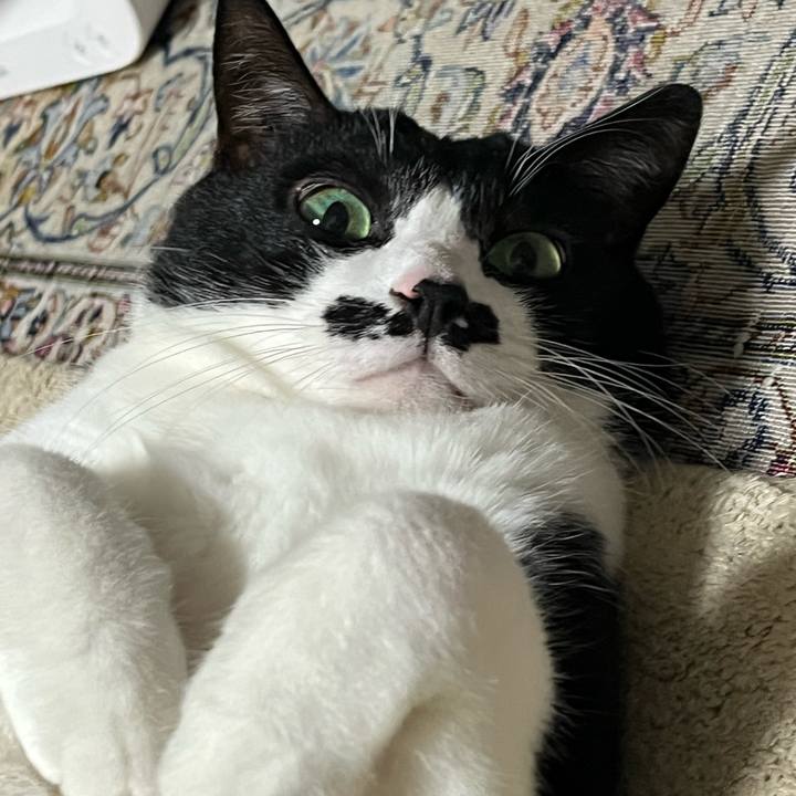 05241be4 b0d5 4048 9639 820aec4d9163 1761997396235