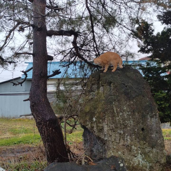 052424e0 6dcd 4fab 8b08 bdcc16313b9c 1670481943432