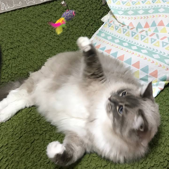 05244ed4 7a90 4320 9075 75fe0190dd29 1508578603094