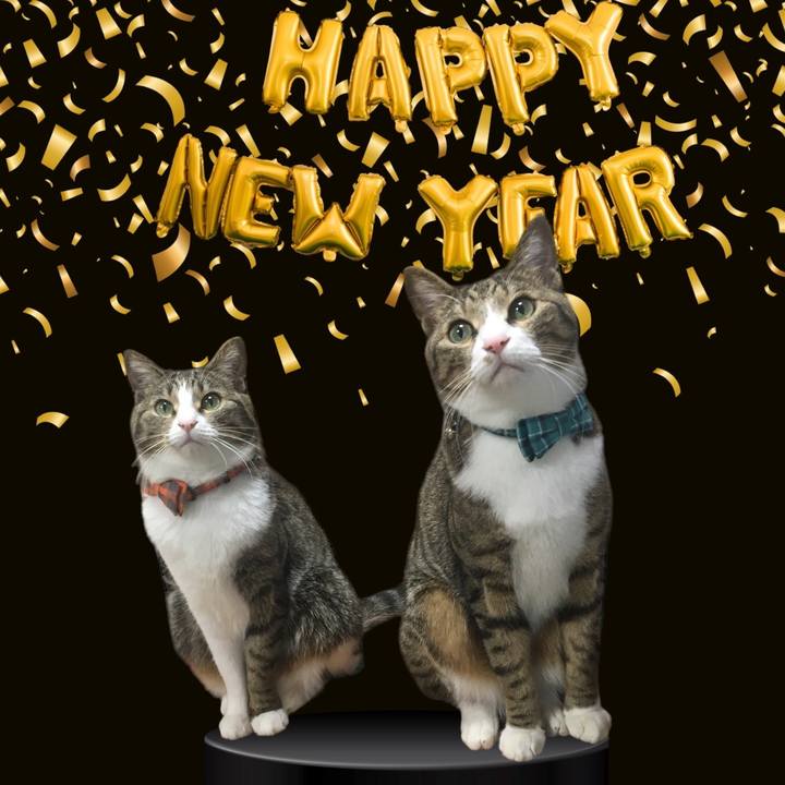 05245262 336d 40ce 8a9c aeb81e06ff7a 1704069478848