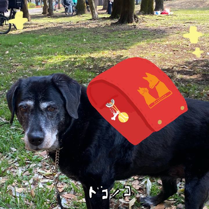 0524a949 3368 4298 bc05 a4b331925b8c 1744256583982