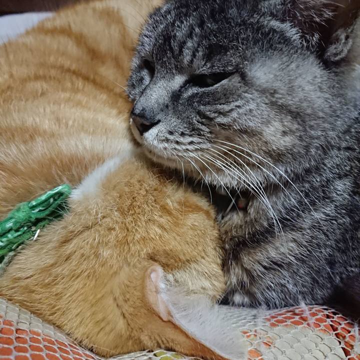 05250873 d83c 44d5 ac58 9c6c3474051c 1585571209458