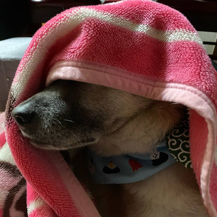 0525700b a0ae 4a24 a62e ed6f3bfbfd8a 1704369169862