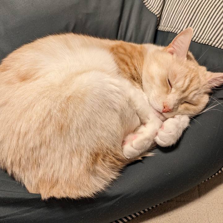 0525881d 0745 4b92 9b5c a950e6a1416a 1697638823060