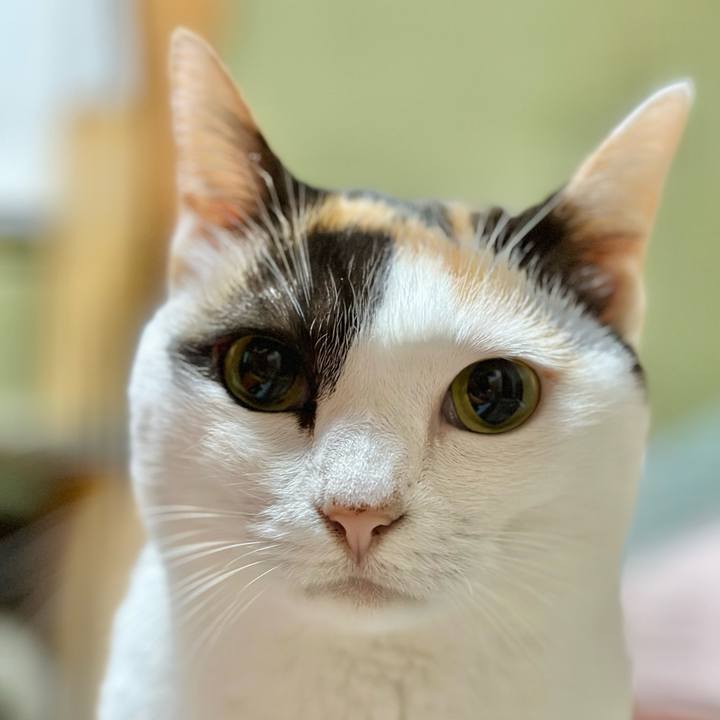 0525a82f ba7d 4ea6 8abb c7c91ad95b61 1666058105546