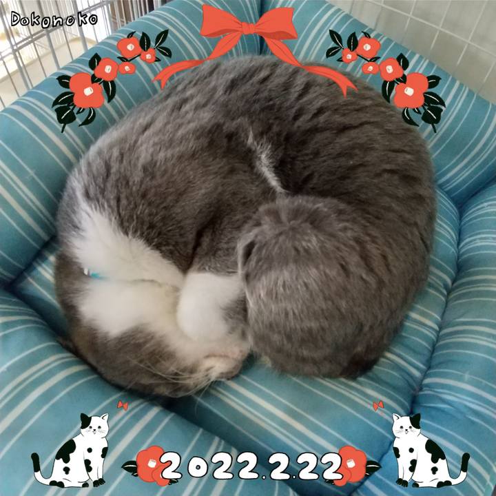 05260cd1 b5bc 41d6 bacc c9d848468039 1645490569482