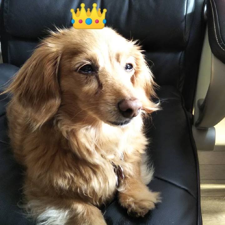 05262e37 555d 4048 a019 7bc58ab09dc9 1615358707041