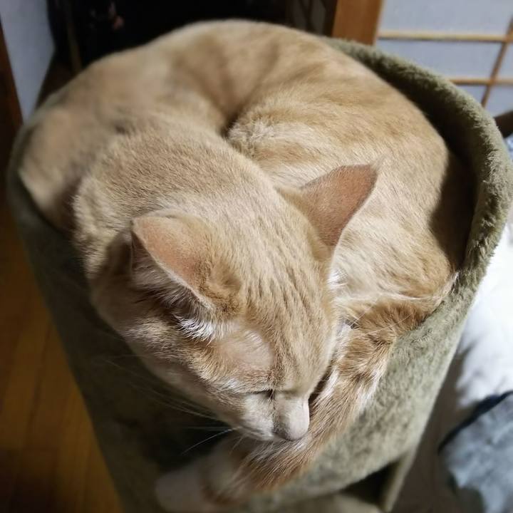 05263d3b eac5 4a40 8645 1a258863b27d 1567688246644