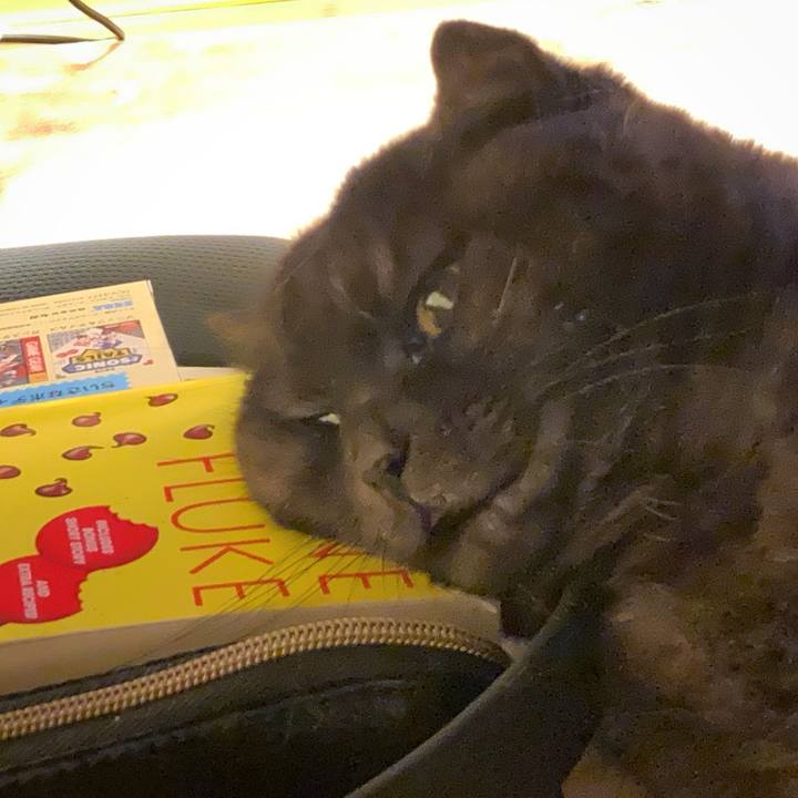 05265766 43e0 4910 acdc 58959cb48312 1604408834740