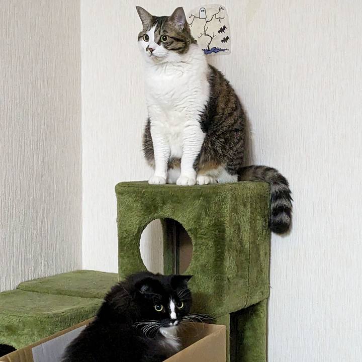 052684b3 391c 4c04 ac87 608d943f5082 1702935208697