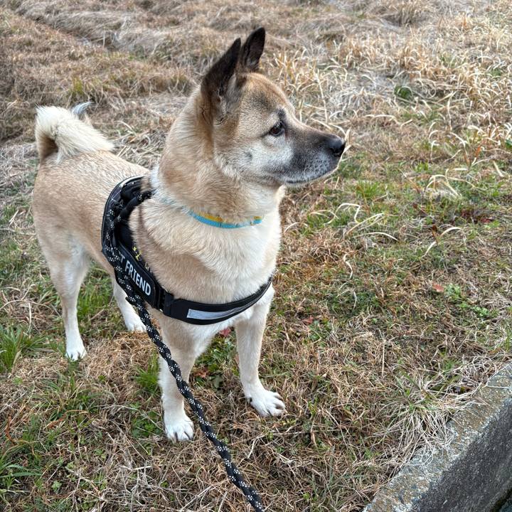 05269271 ad2f 4b83 995b b8d9d842e8b3 1741346871712