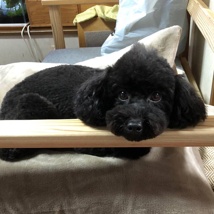 0526b4a4 8db9 480c 891b 09786e4f167c 1580728097463