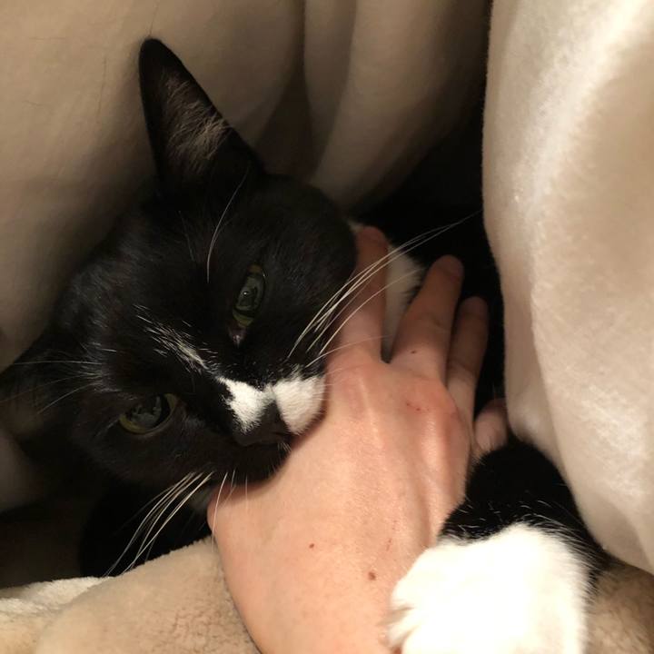 0526e8a7 18e3 405b a193 b065ccaab4dc 1543963030948