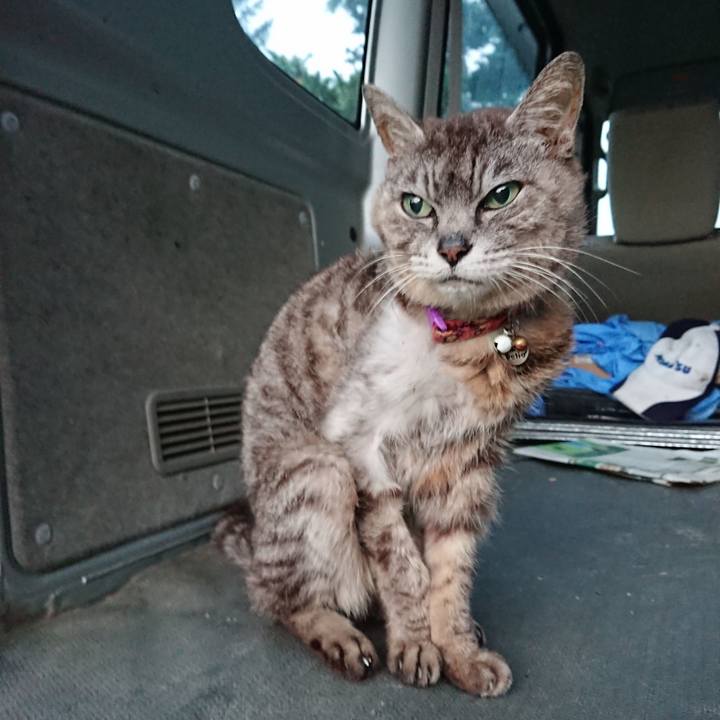 0526e9d9 6d48 4945 8b43 1fe2c0e859ba 1598126550654