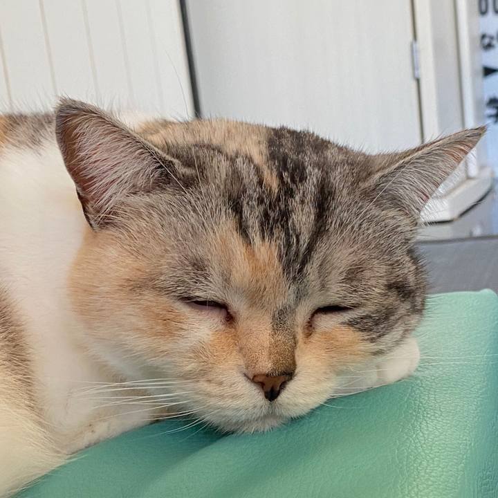 05271724 8acb 4808 a345 bb7417064dfd 1585979166406