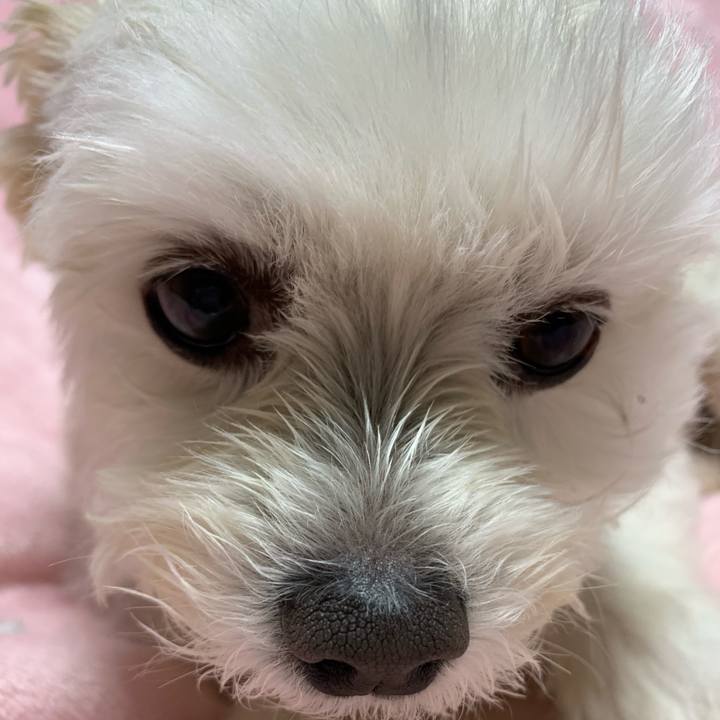 05274638 5014 470f bc74 89228a0a6cc5 1585836919915