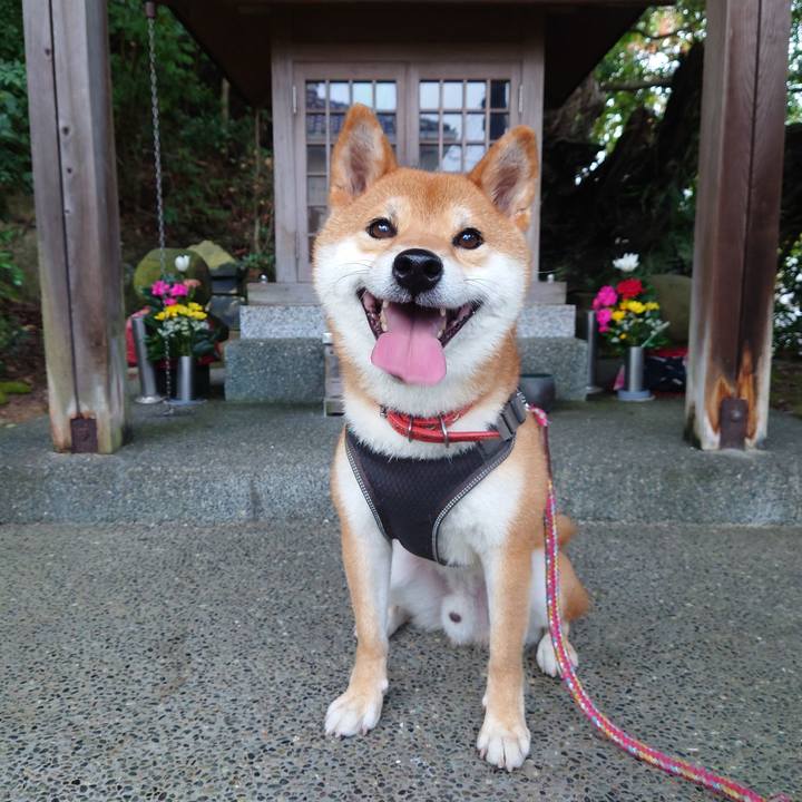 05274a6f 1313 4883 a7e8 ad26da7a1f63 1759713125852