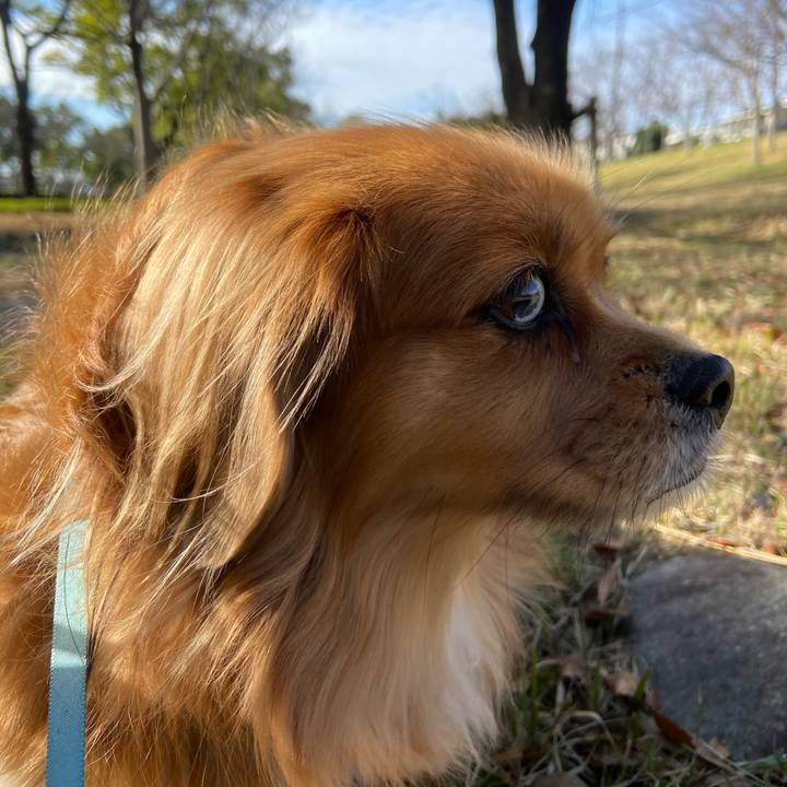 05274ef8 6aab 4fd5 bb5a 9ec05e311e43 1607217839108