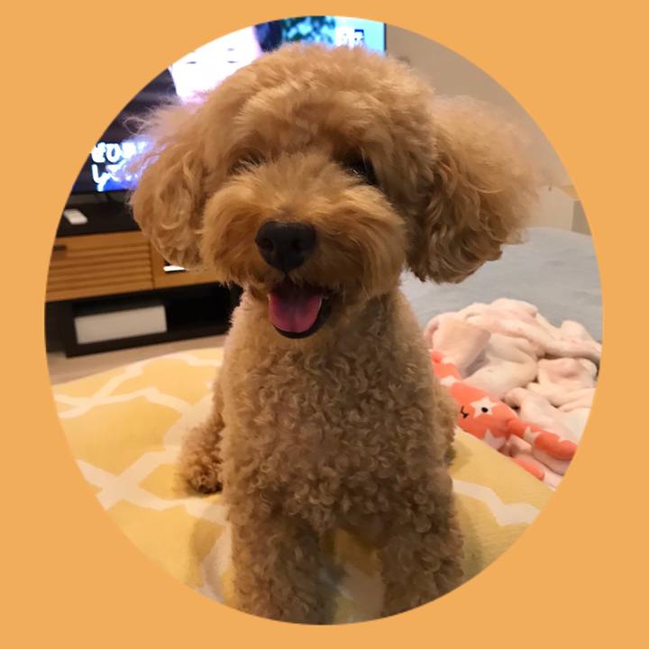 052750f8 0de5 4ab7 90ff ecd894216075 1568803091106