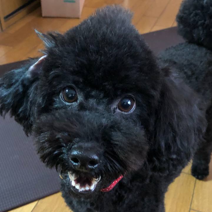 052765e8 8fc9 4afb 9806 550ca1e9b8e1 1580620390987