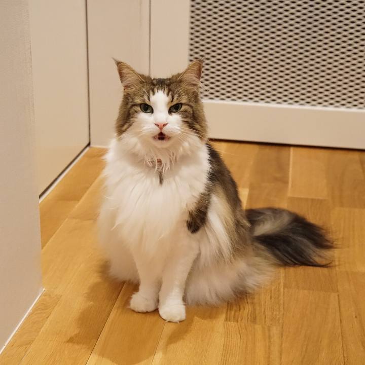 05278d15 2b85 4879 a6de f322c9218ced 1564665315105