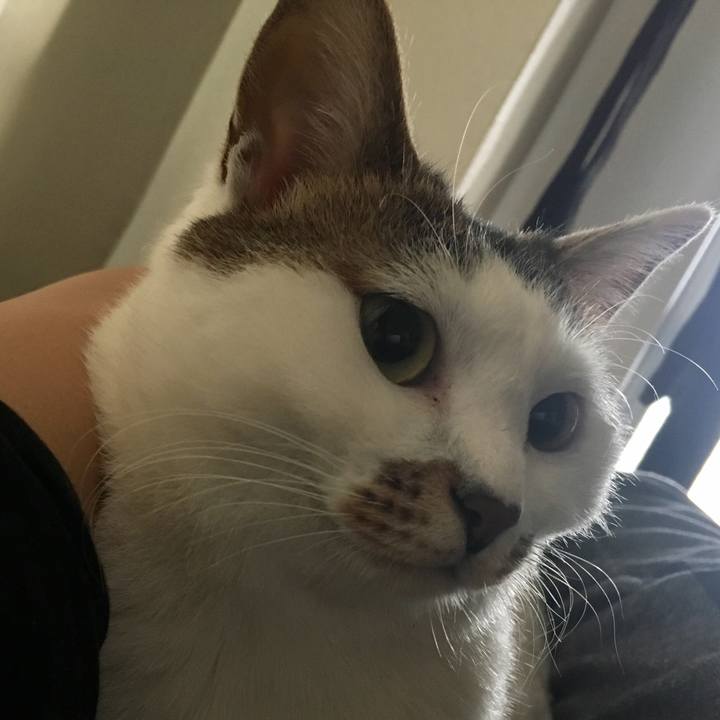 0527ebb2 a859 4f9e 871f af25ca44555f 1522708588940