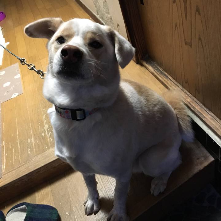 0528608a e417 428d 857d ac740aff28ca 1516609493854