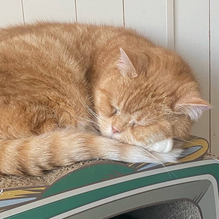 05286e50 2ed4 4246 b81d 22bab896eaff 1649689062876