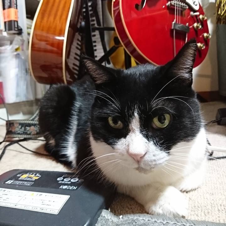 0528b848 6e29 4b34 ad2a d2e4c5f5cf5e 1601899596859