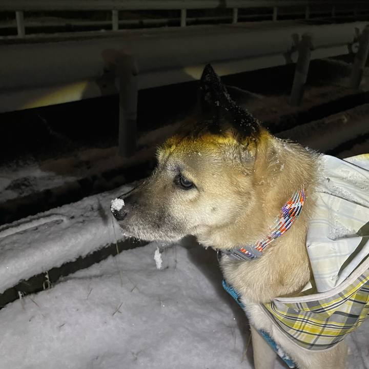 0528b889 60a1 46d5 b97e 55e588571faf 1706014918625