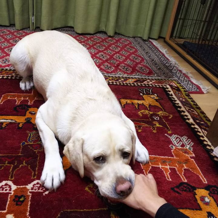 0528d0a8 8378 4f25 9ea8 5e7bcdb0b4b1 1573990255886