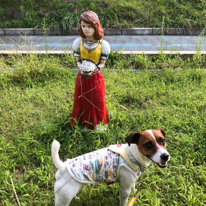 0528f06b e0d8 4e51 8fdc c9b62abfad7a 1566828926703