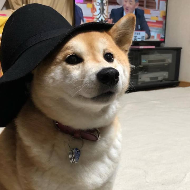 0529058c 25c6 4b84 b4fa 01497c59b06a 1543500629179