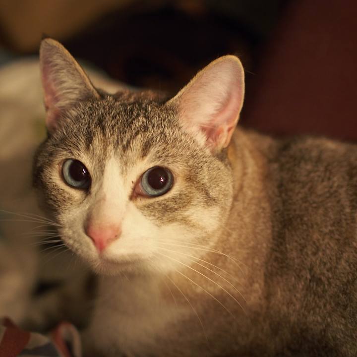 05290c5e 84b8 43e2 a2ad da7df39e956e 1591113419817