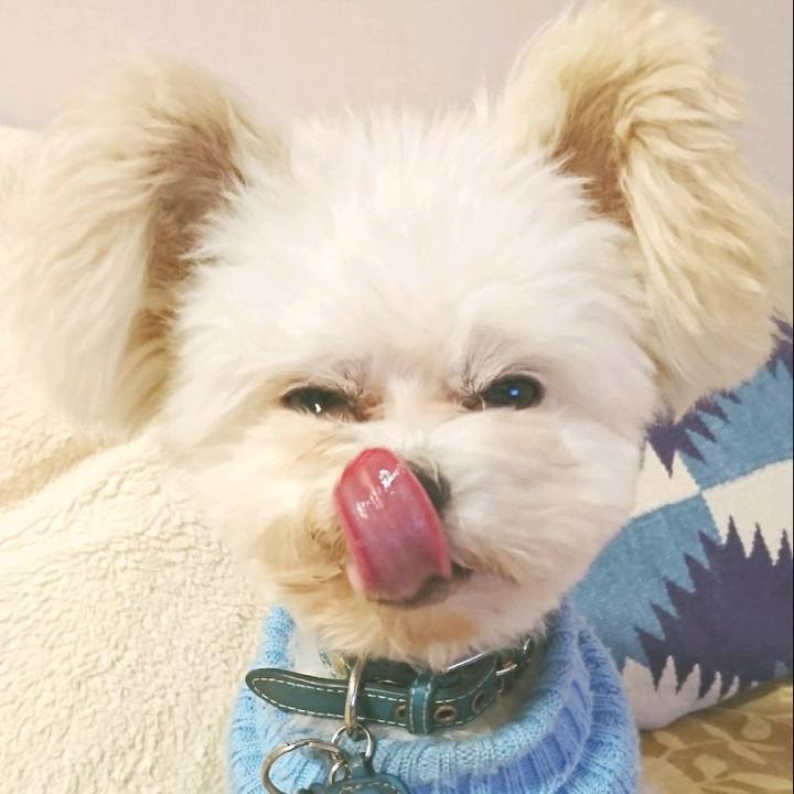 05291685 521a 4e70 abf4 46d1ac057a26 1515813896059