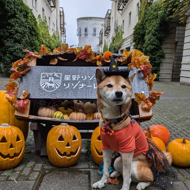 0529767b e8da 4e4c b7c5 1fd7ae620869 1728041390288