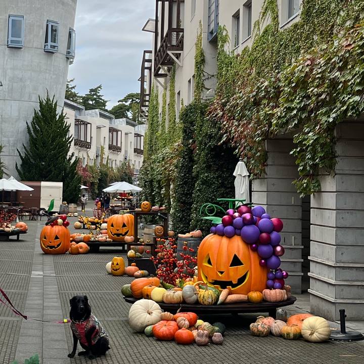 0529a11d 9471 438c b502 90debf20beb9 1761368160804