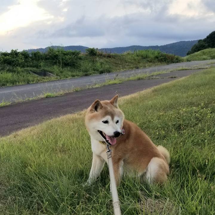 0529cde3 e008 4e95 b86c 6f9af3924556 1691915660921