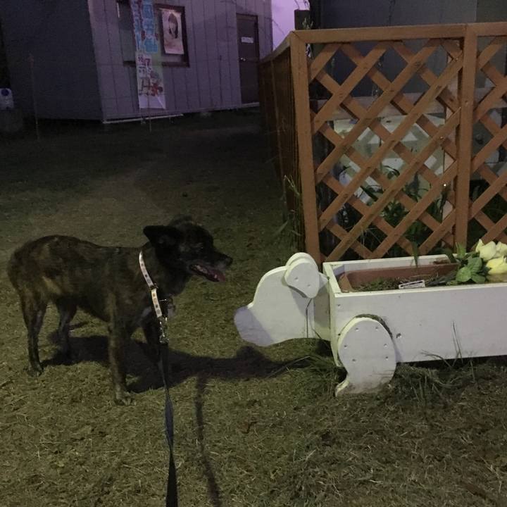 052a009c faec 488d 90cf 58c16c000ae6 1536588412078